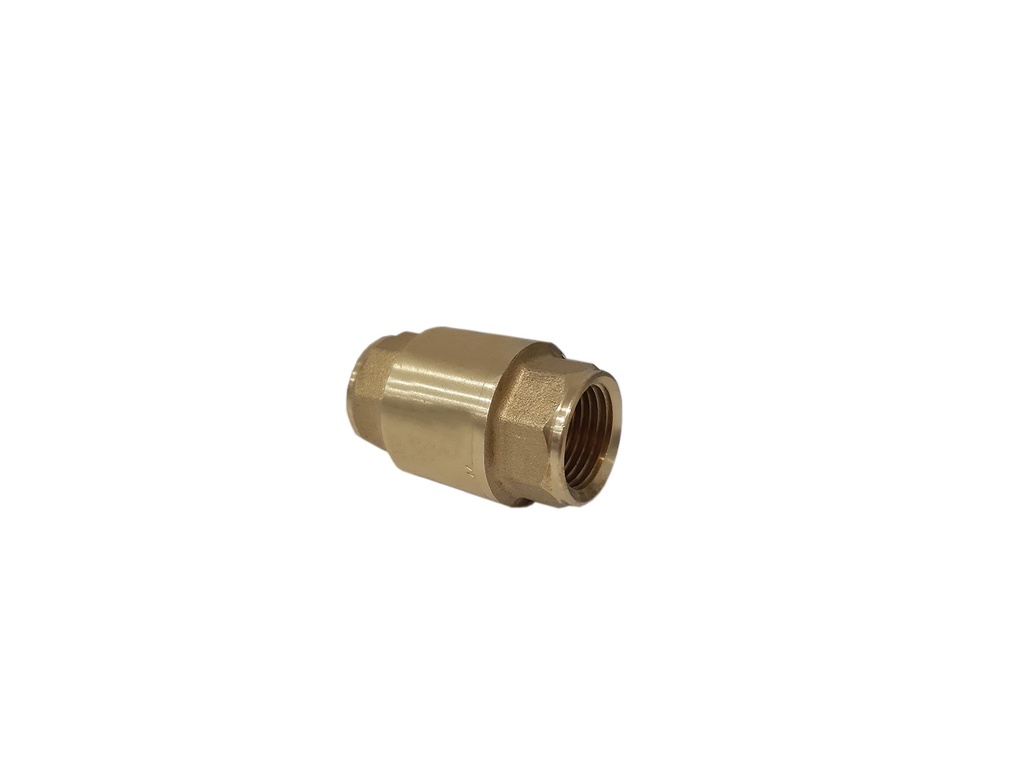 VALVULA CHECK x 1"  FP  01K110 0-066