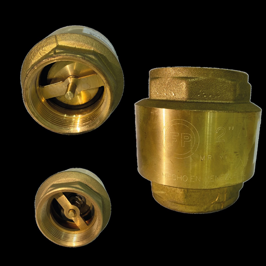 VALVULA CHECK x 2" FP 01K120 0-583