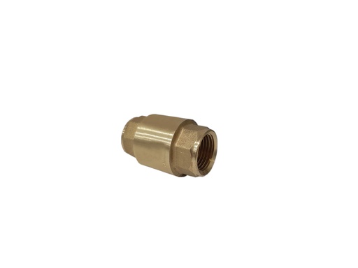 [0-066] VALVULA CHECK x 1"  FP  01K110 0-066